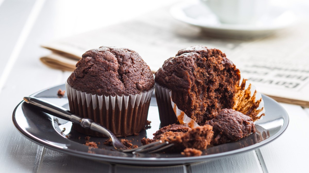 Zwei Schokomuffins auf einem grauen Teller, einer wurde angebissen.