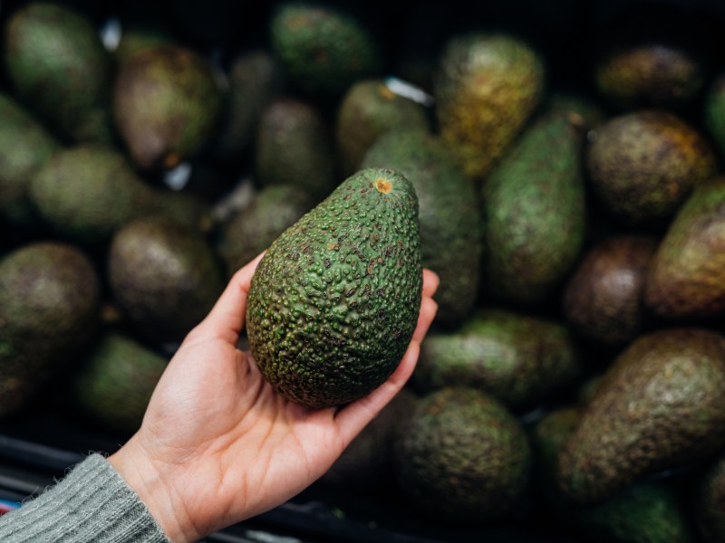 Foto einer Frauenhand die eine gründe Avocado hält, im Hintergrund viele Avocados