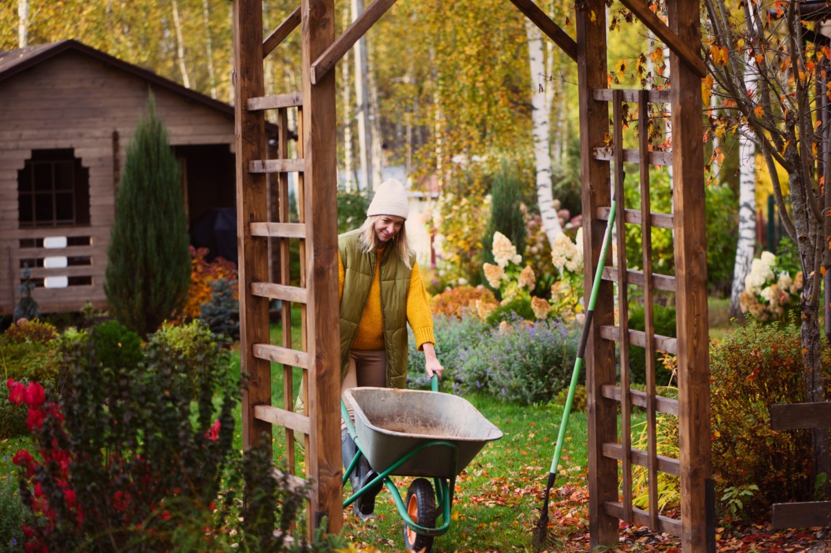 Frau mit Schubkarre im Garten im Herbst.