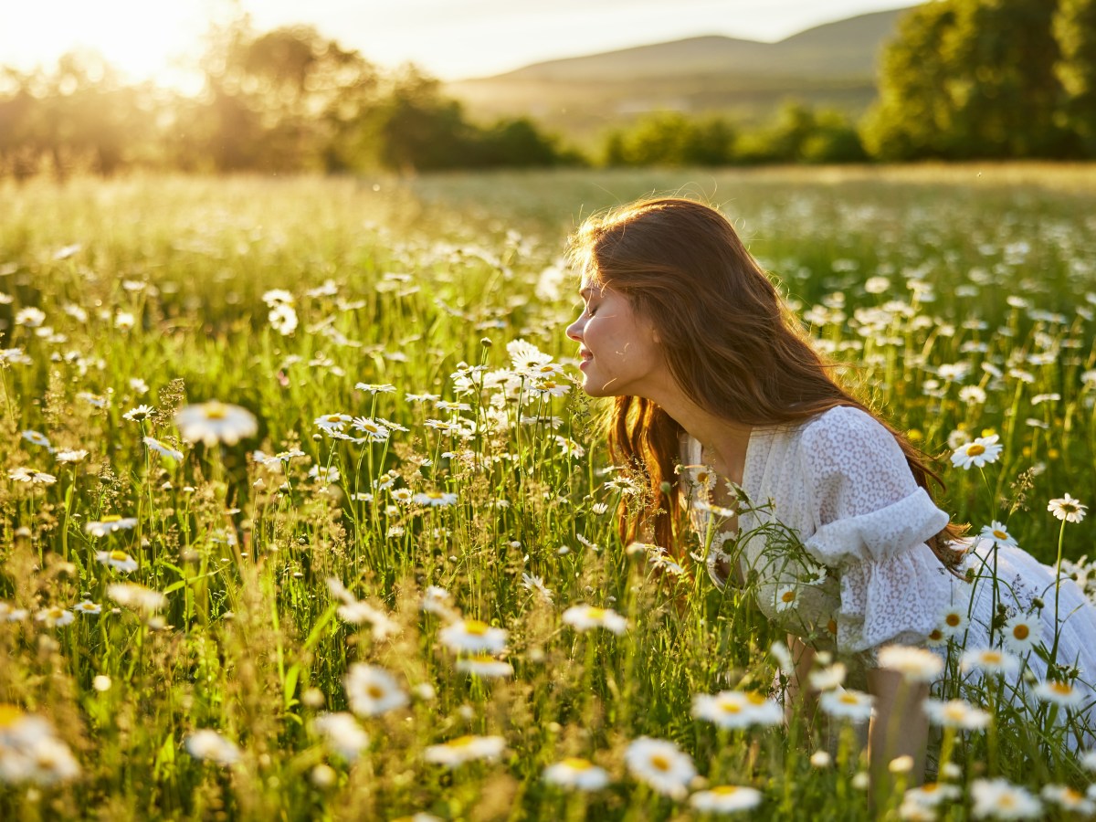 Junge Frau sitzt auf einer Blumenwiese im Sommer.