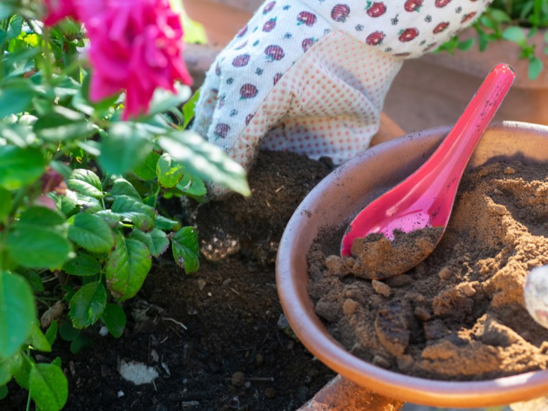 Person düngt seine Blumen mit Kaffeesatz.