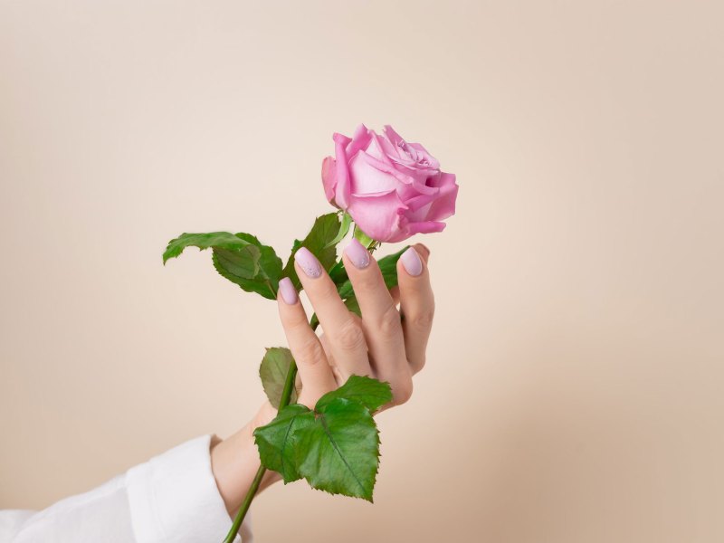 Hand mit rosa lackierten Fingernägeln und in der Hand eine Rose
