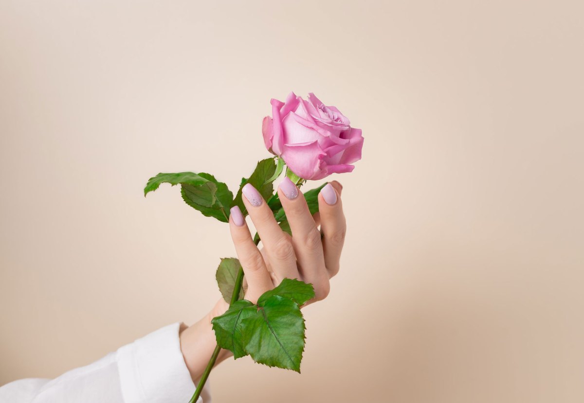 Hand mit rosa lackierten Fingernägeln und in der Hand eine Rose