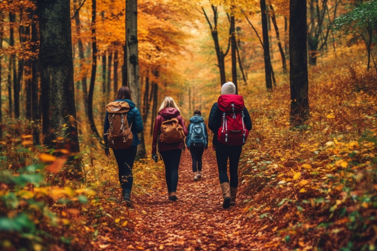 Gruppe von Wanderern in herbstlichem Wald