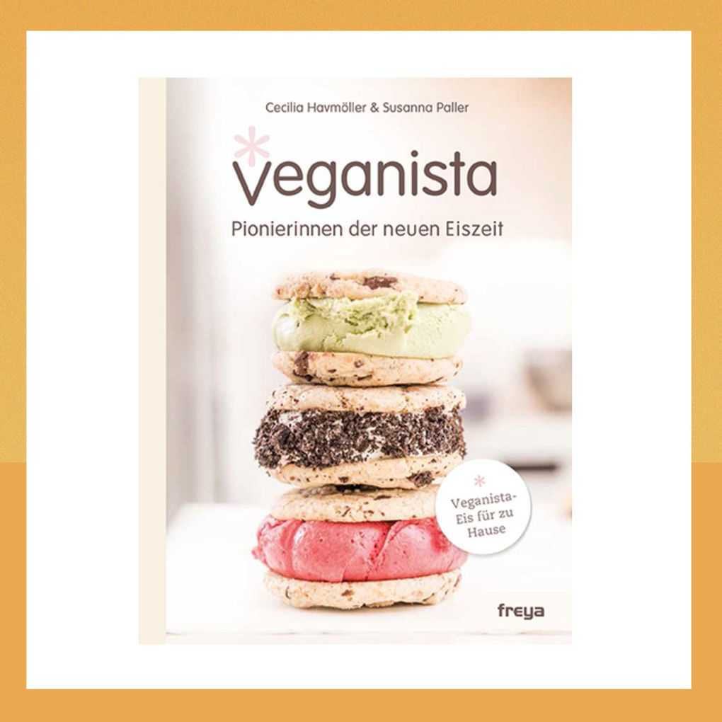 Tolles Buch mit veganen Eisrezepten zum Nachmachen