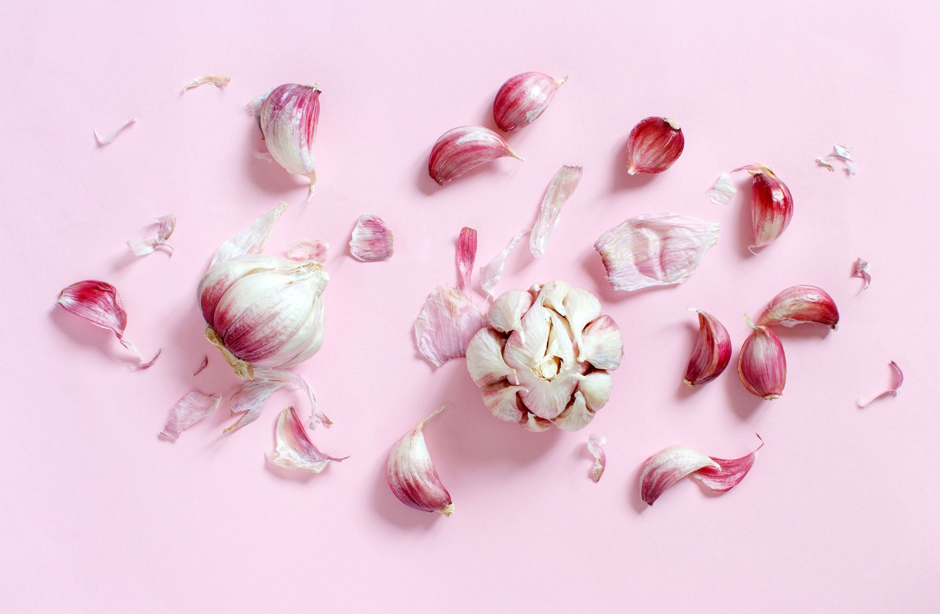 Knoblauch auf rosa Hintergrund.