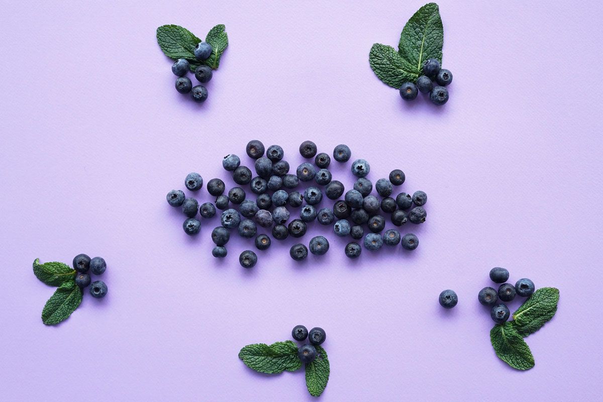 Heidelbeeren sind die einzigen Beeren, die noch nachreifen