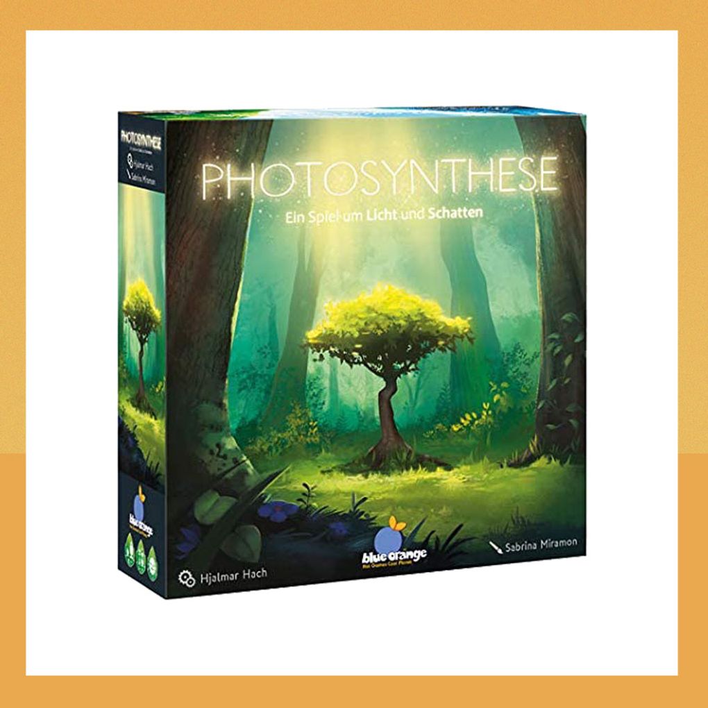 Brettspiele für Erwachsene: Photosynthese – Ein Spiel um Licht und Schatten