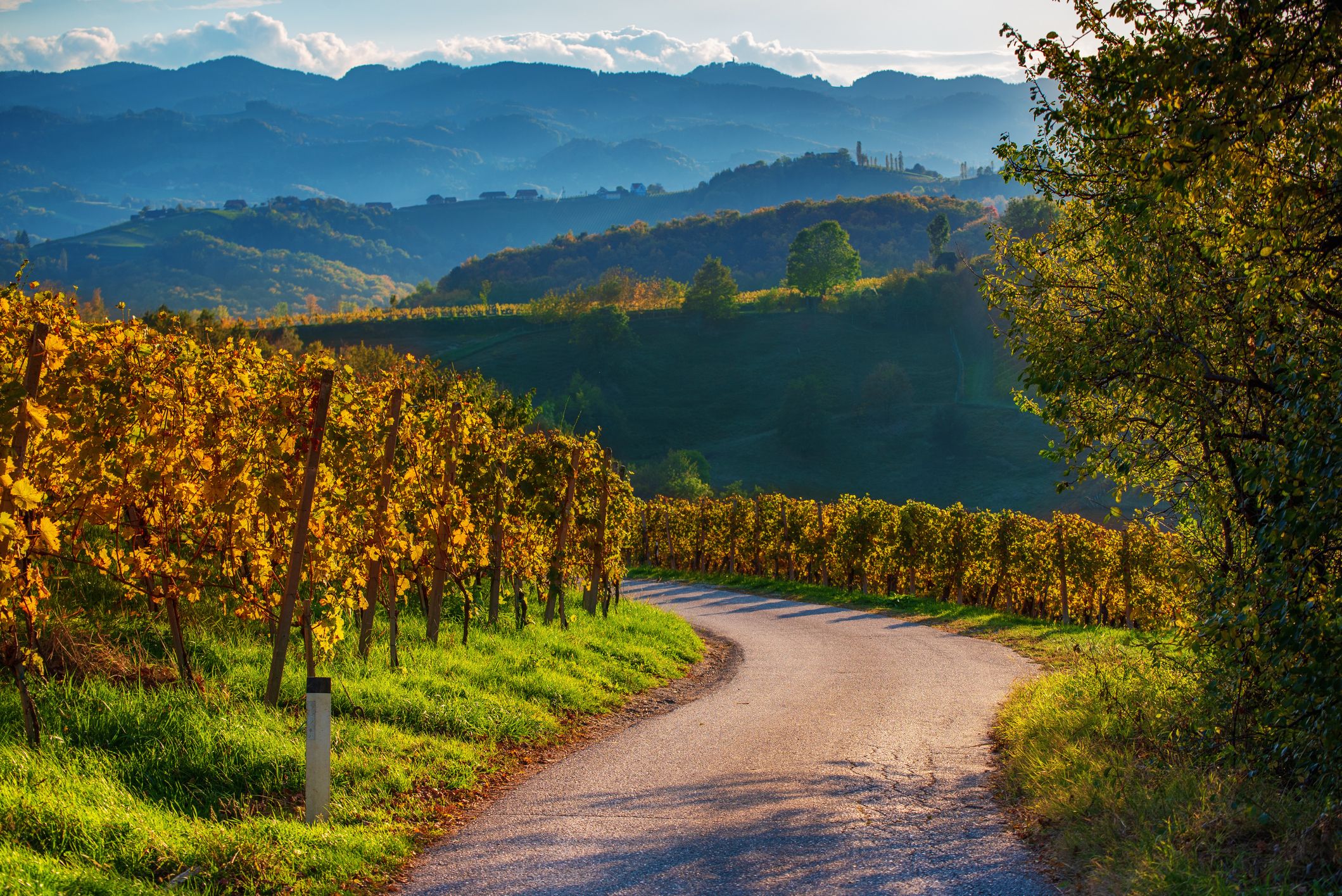 Südsteiermark, Österreich