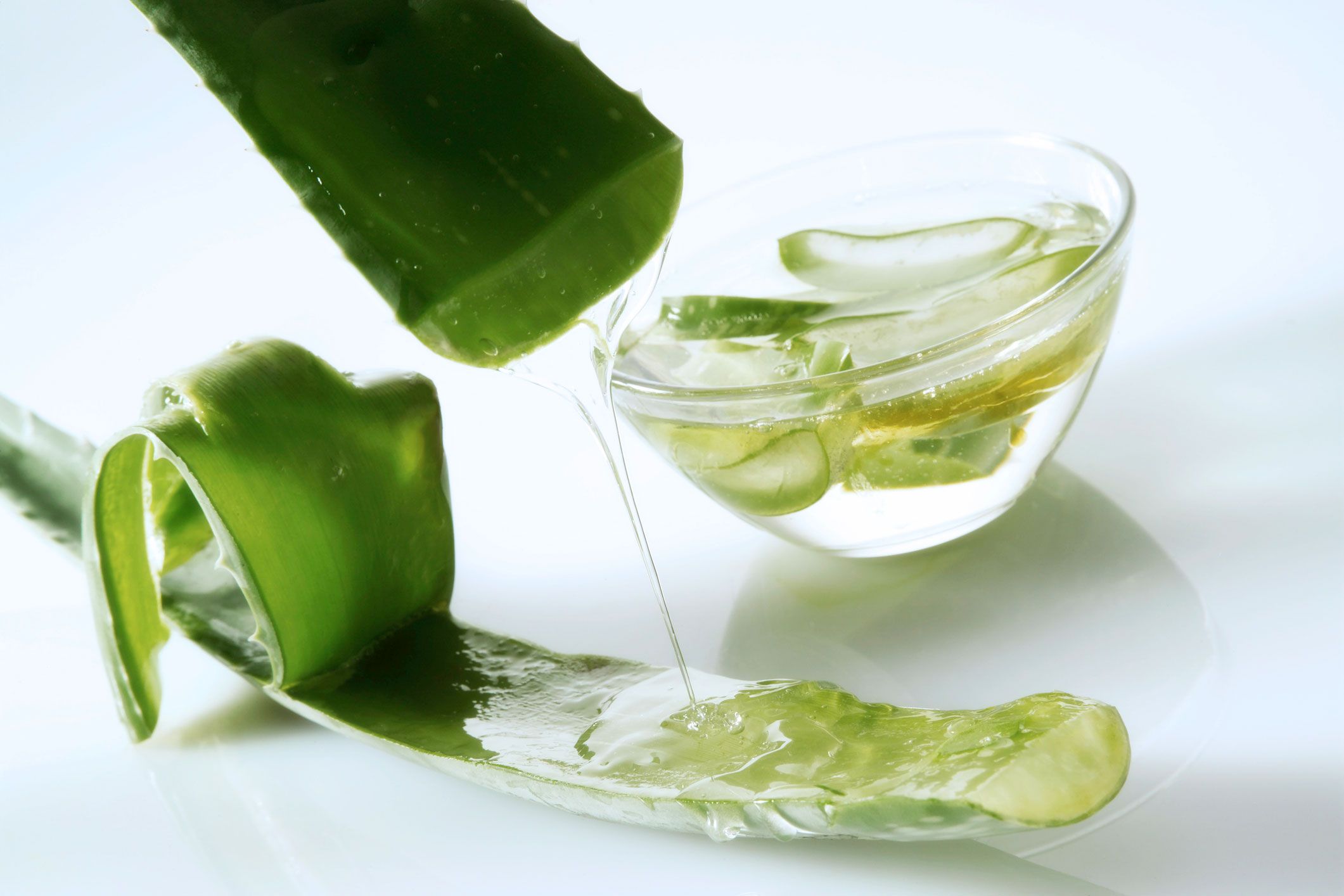 Aloe Vera Gel aus der Pflanze