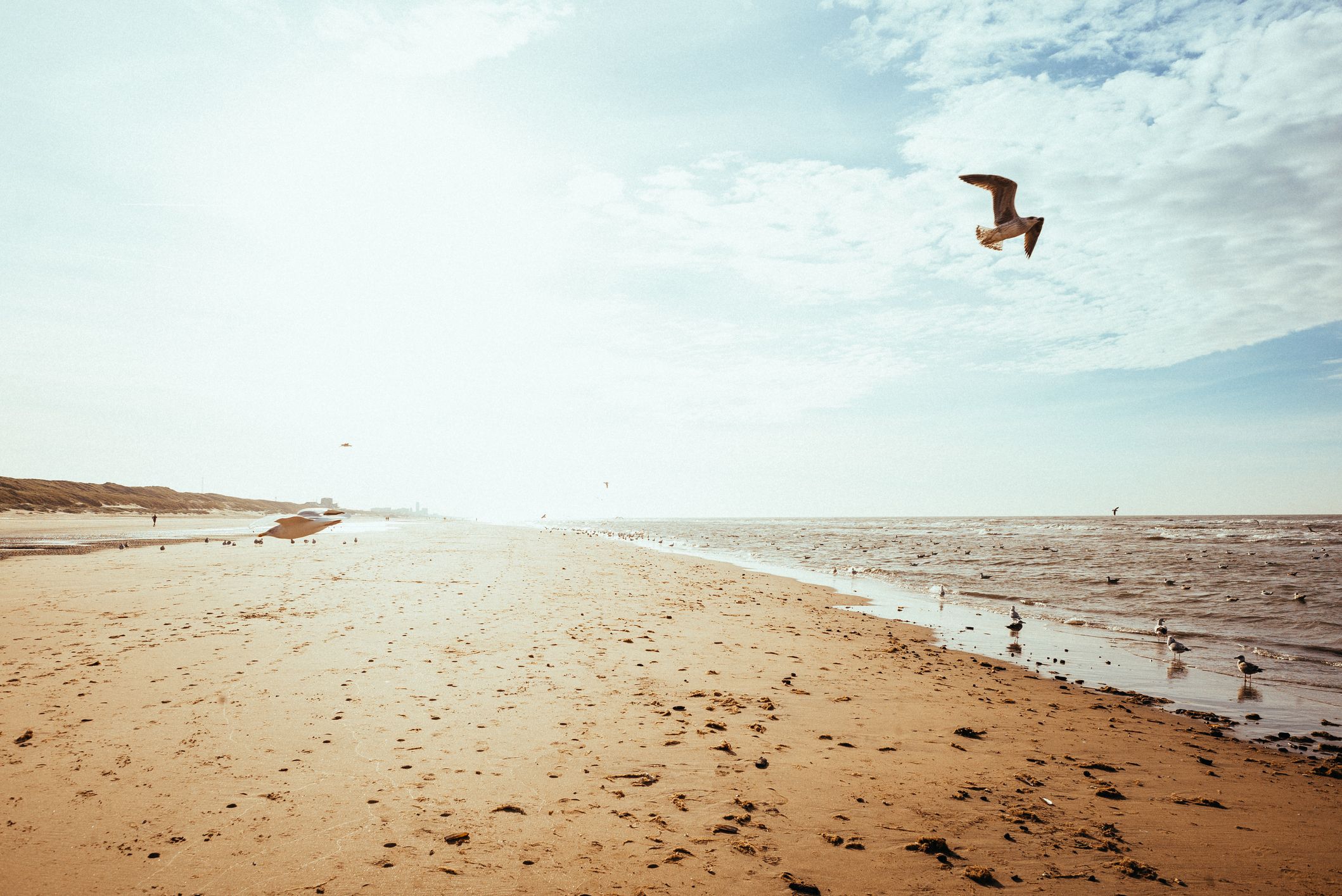 Bloemendaal aan Zee