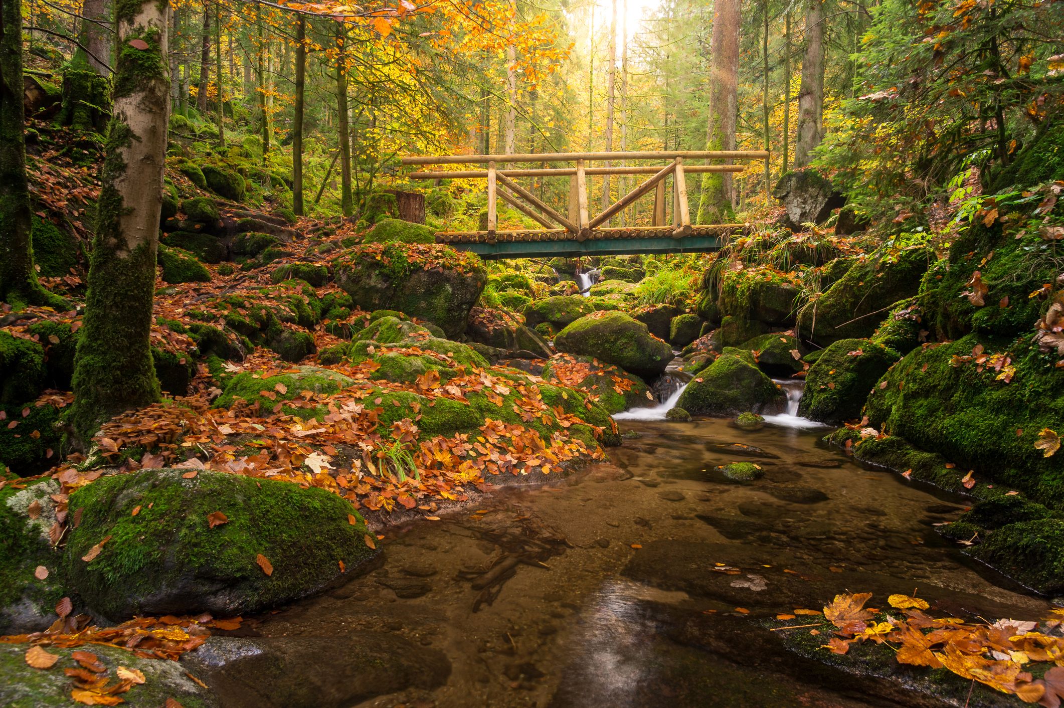 Schwarzwald