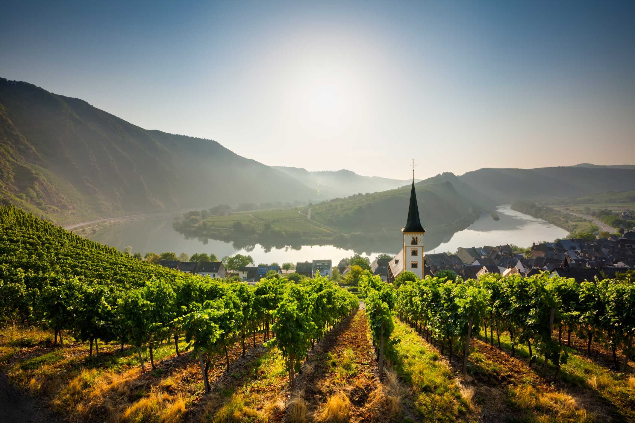 Mosel