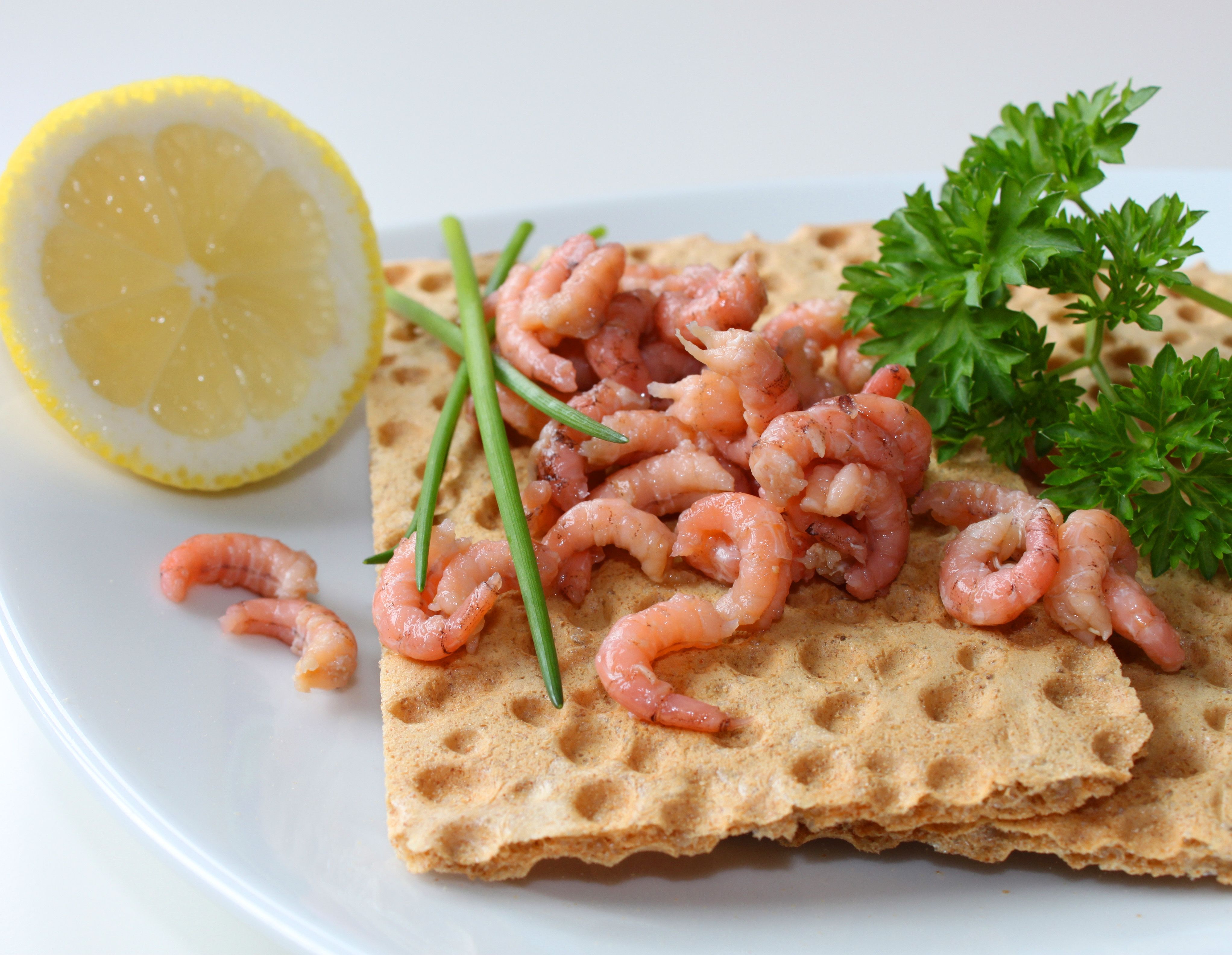 Nordseekrabben sind schon gekocht