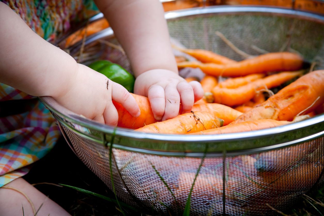 Babybrei selber machen: Bio-Obst und Gemüse