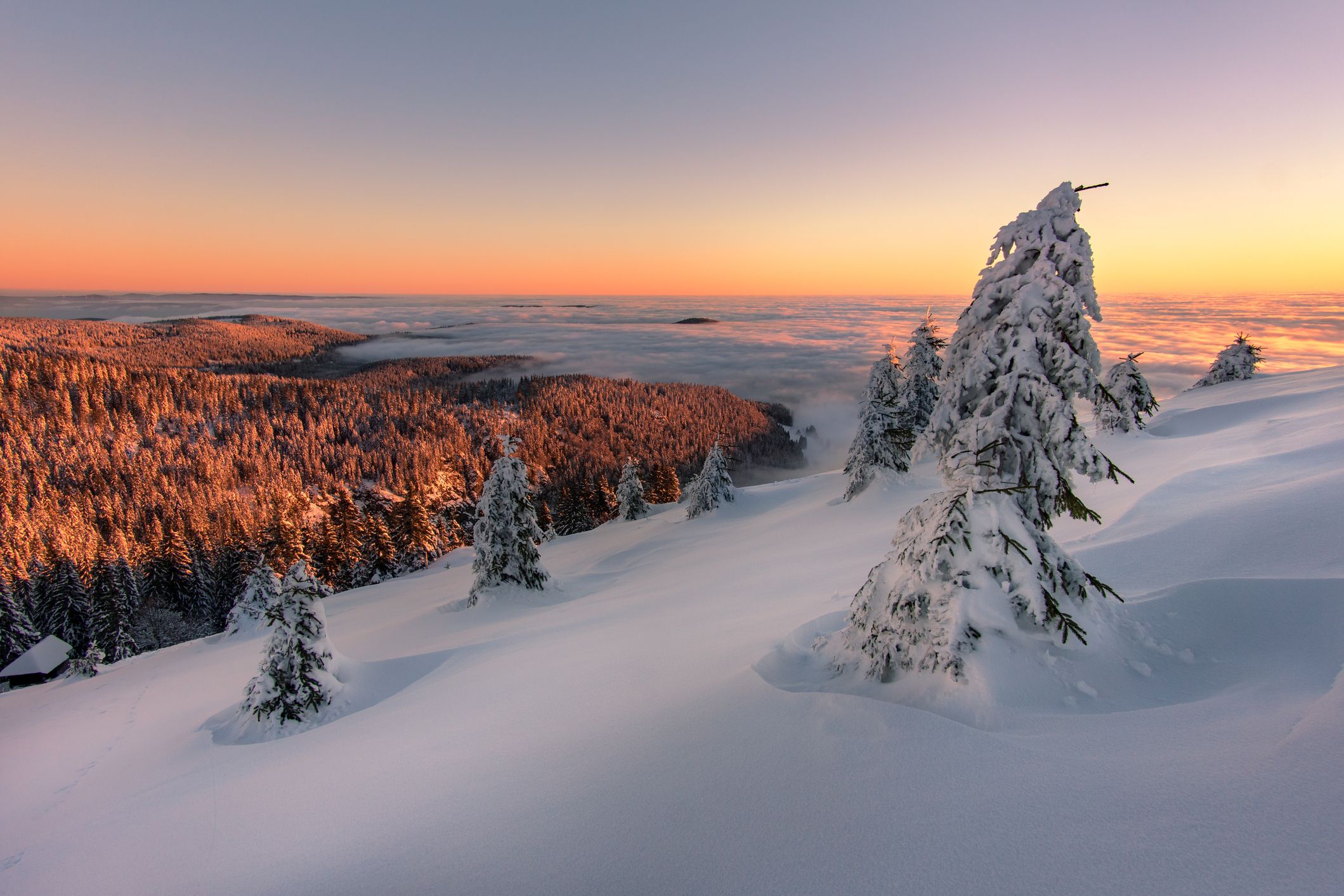 Schneelandschaft im Schwarzwald