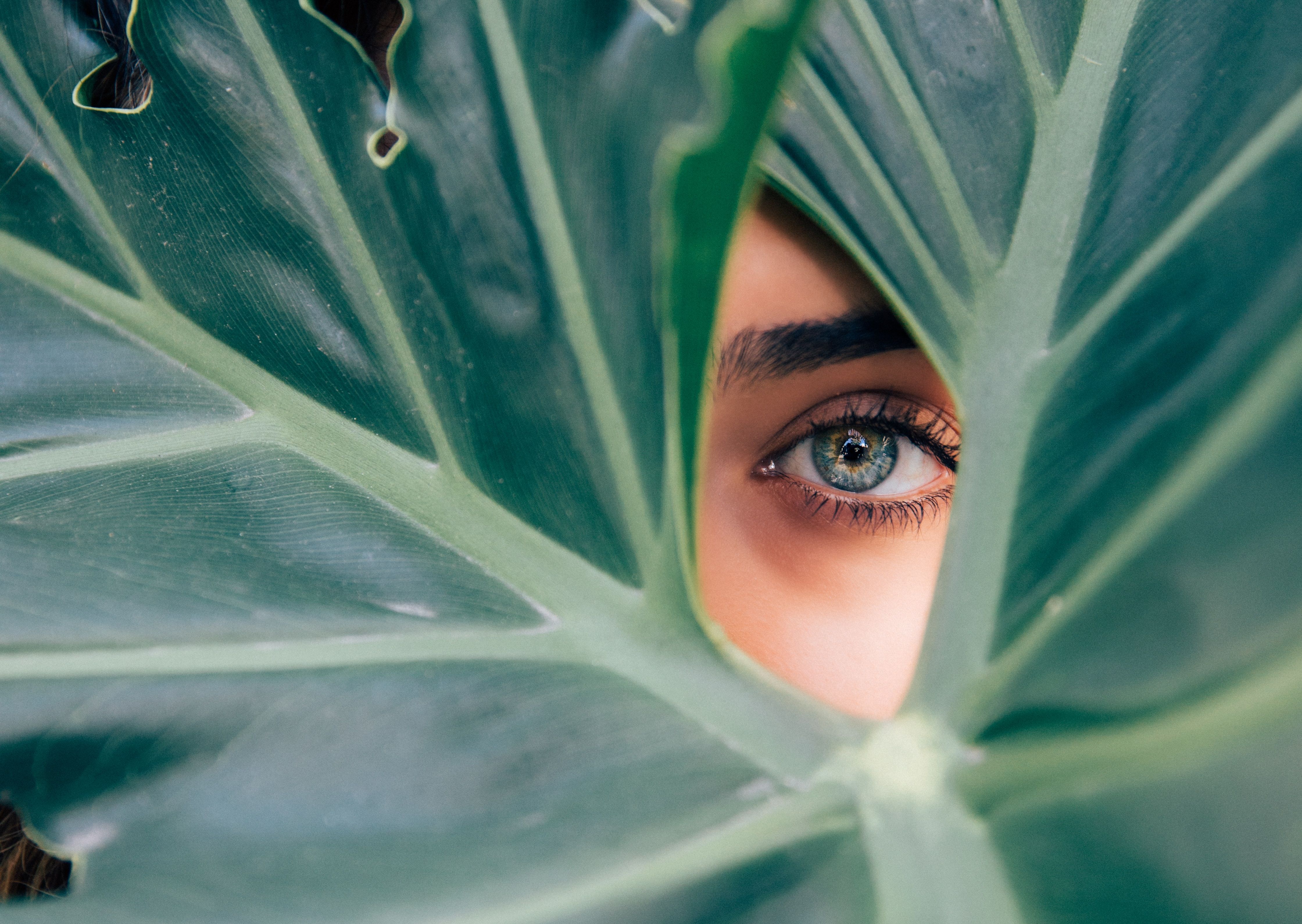 Grüne Augen: Bedeutung