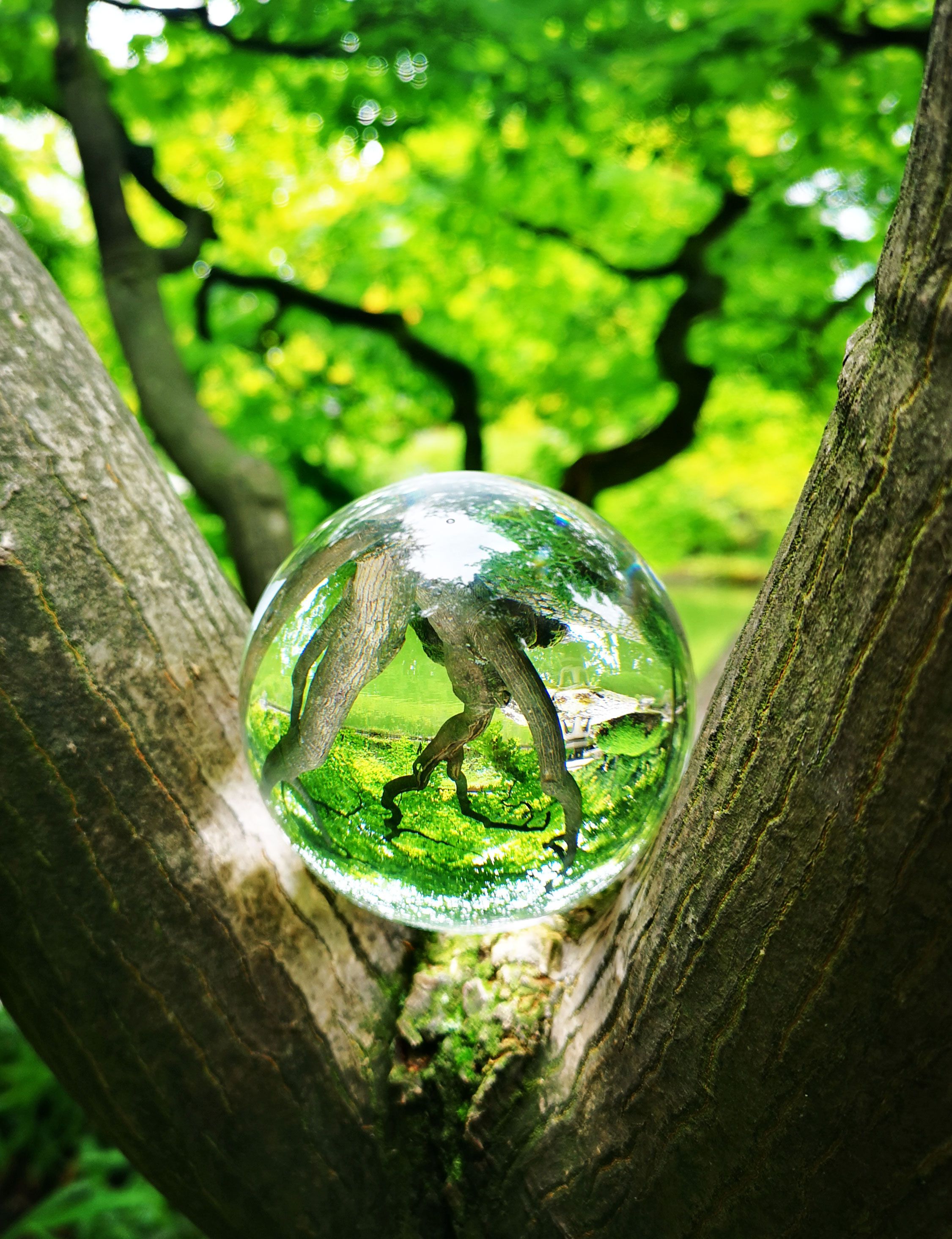 Lensball-Fotografie im Redaktionstest