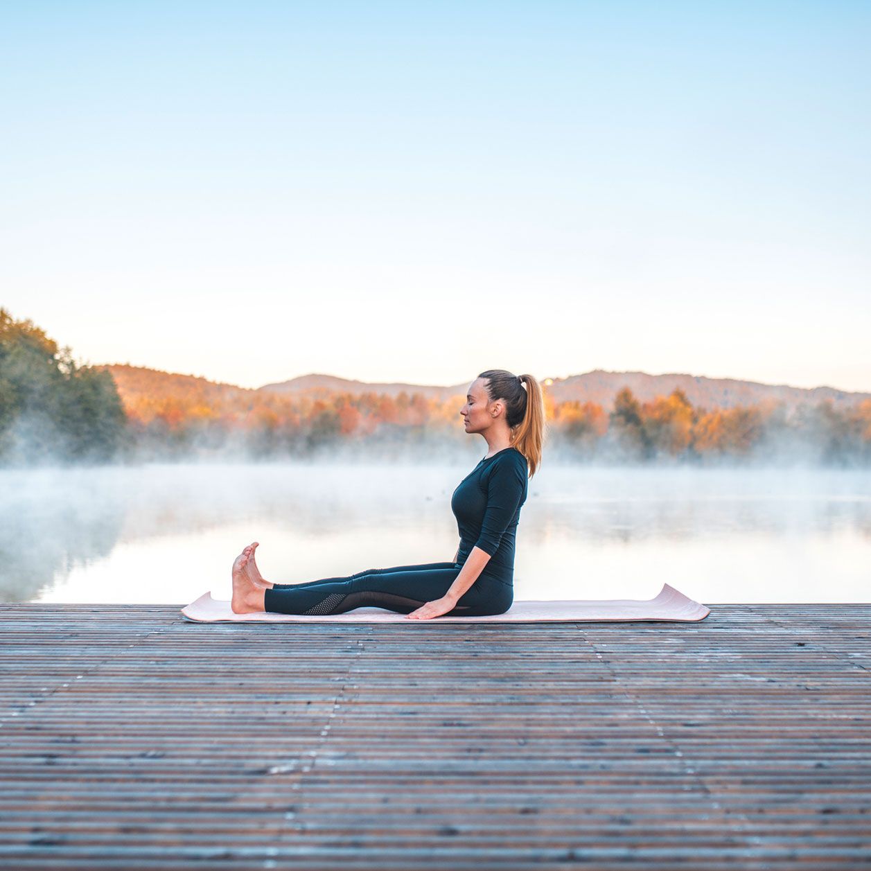 Variante: Reverse Plank