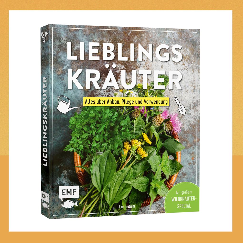 Buch mit Tipps und Rezepten für Küchenkräuter und Wildkräuter