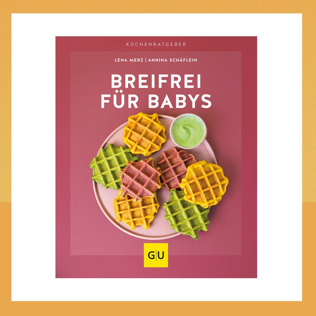 Kochbuch für breifreie Beikost