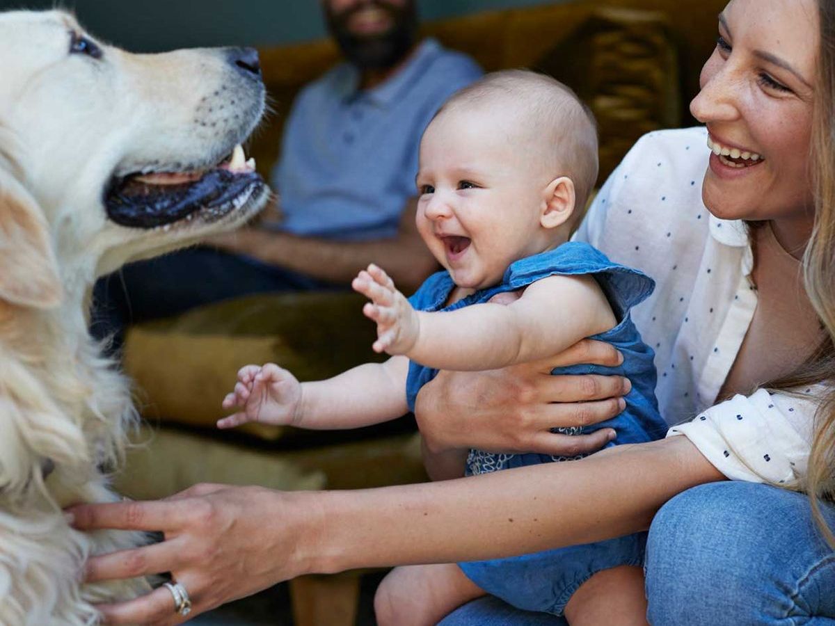 Baby und Haustier: Was man beachten muss, damit beide ein Dreamteam werden