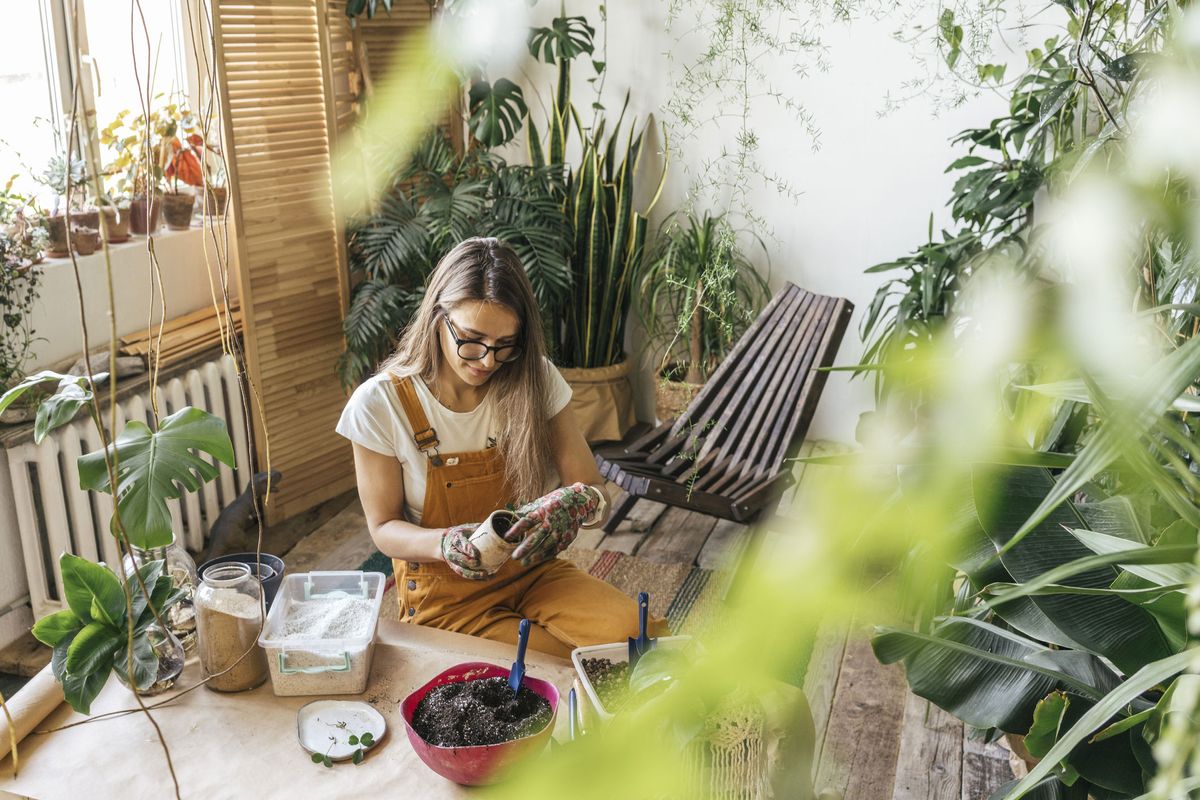 Urban Jungle Wohntrend: So wird deine Wohnung grün!