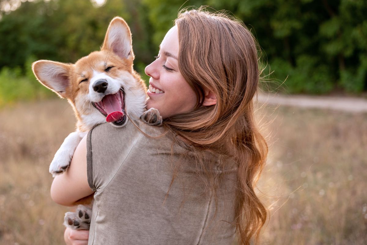 Hundefreundlichste Hotels