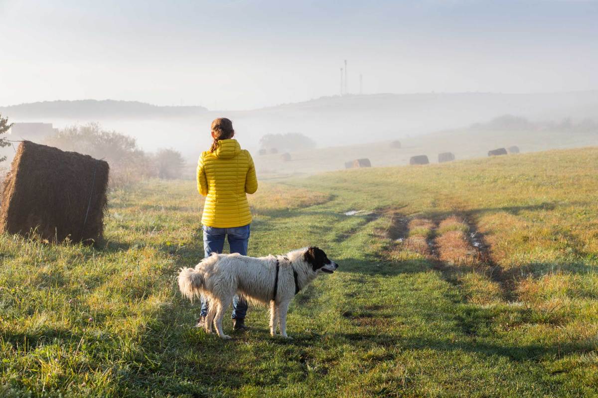 Frau mit Hund bei einem Spaziergang in einer nebligen Landschaft am frühen Morgen