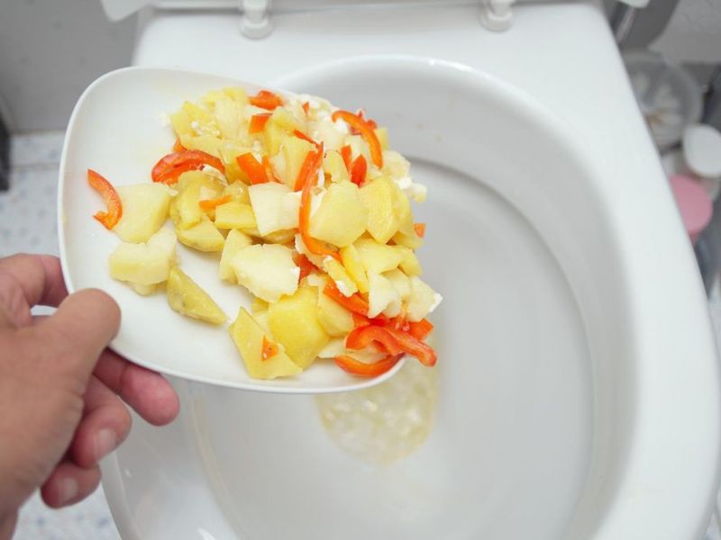 Dürfen Essensreste in die Toilette?