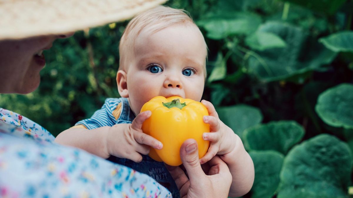 Ab wann dürfen Kleinkinder bestimmte Lebensmittel essen?