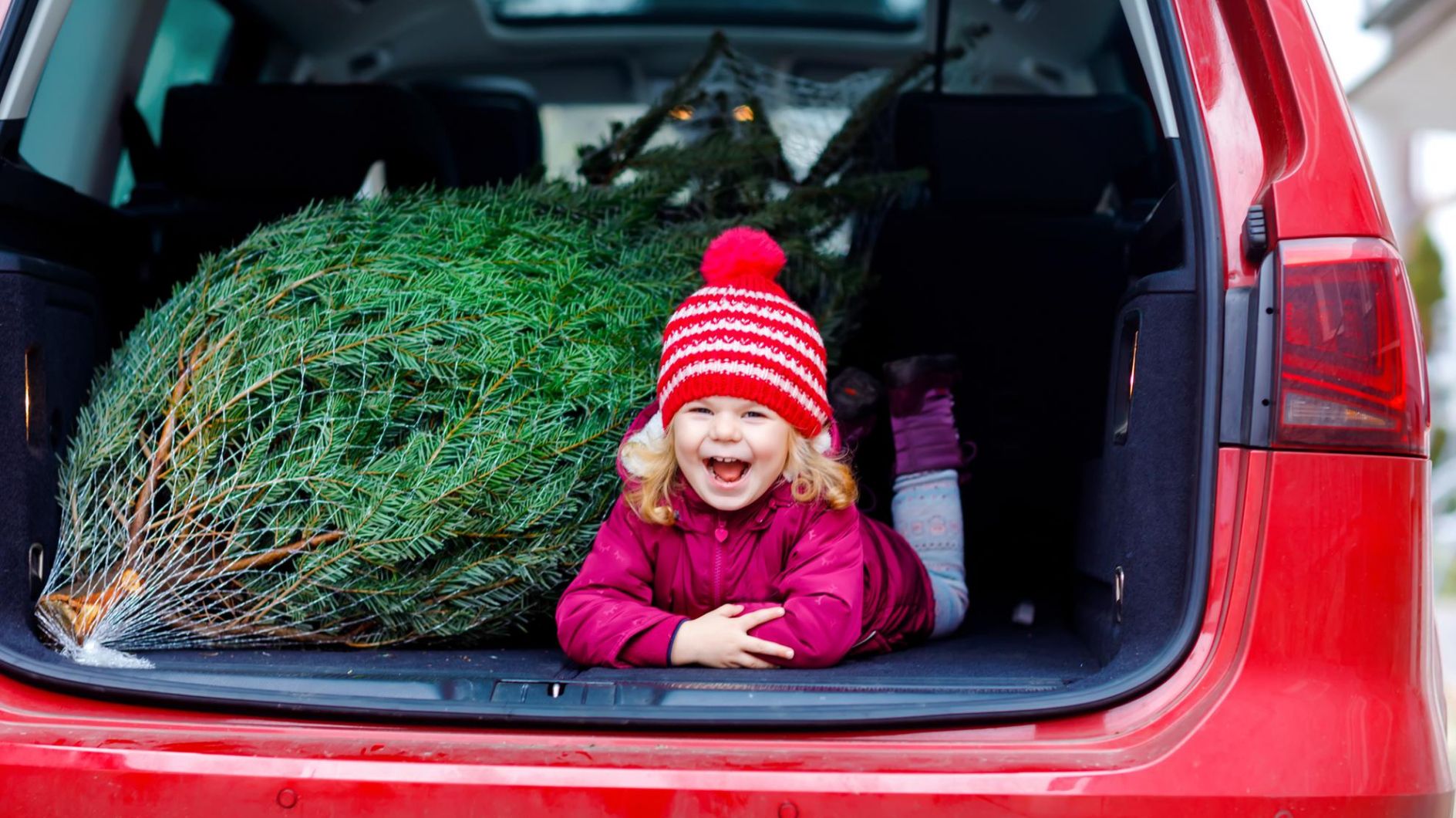 Weihnachtsbaum kaufen