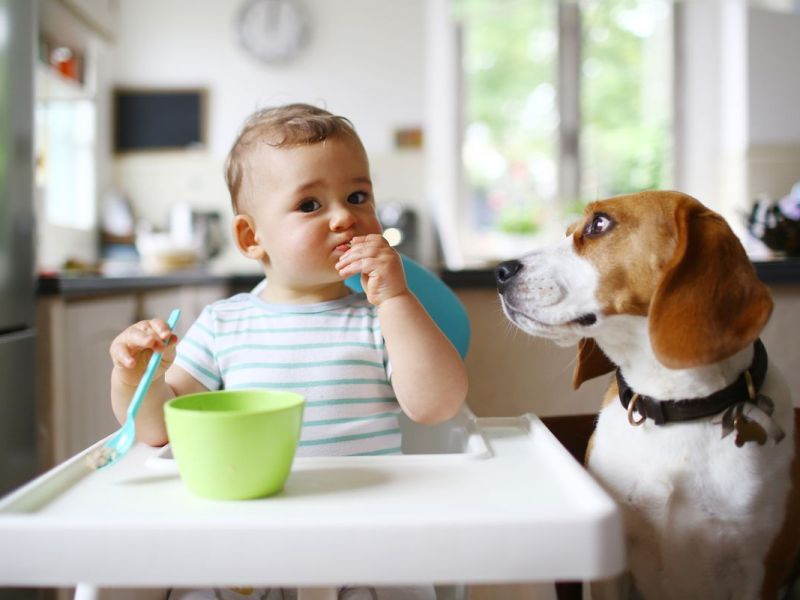 Tipps für eine gesunde Ernährung für Baby und Kleinkind