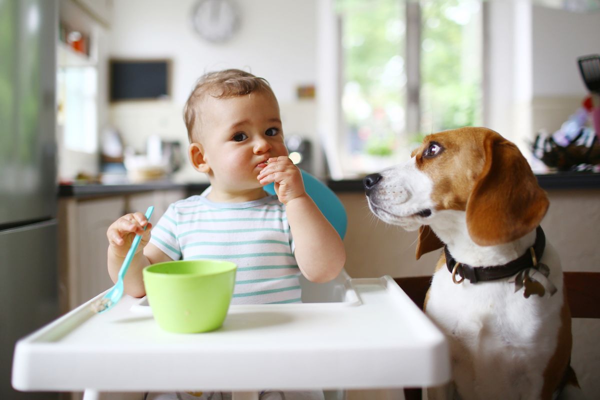 Tipps für eine gesunde Ernährung für Baby und Kleinkind