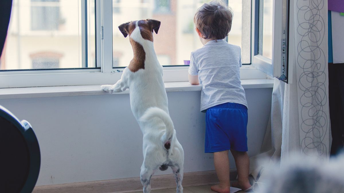 Wie Kinder lernen, Geduld zu haben