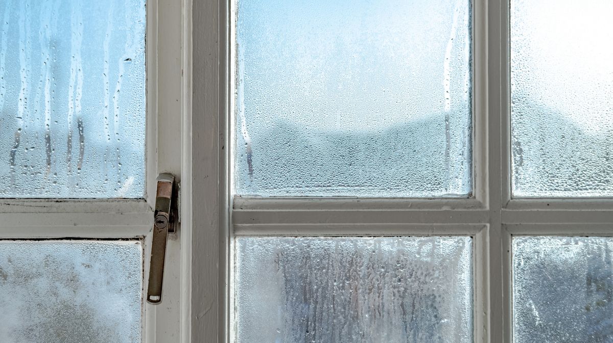 Kondenswasser am Fenster: Das kann dagegen helfen