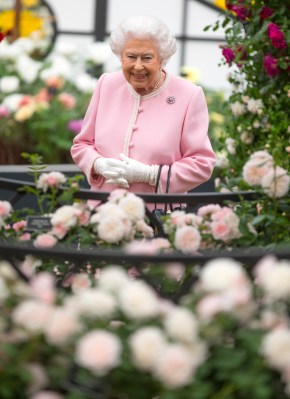 Queen Elizabeth II.: Ihr Leben in Bildern