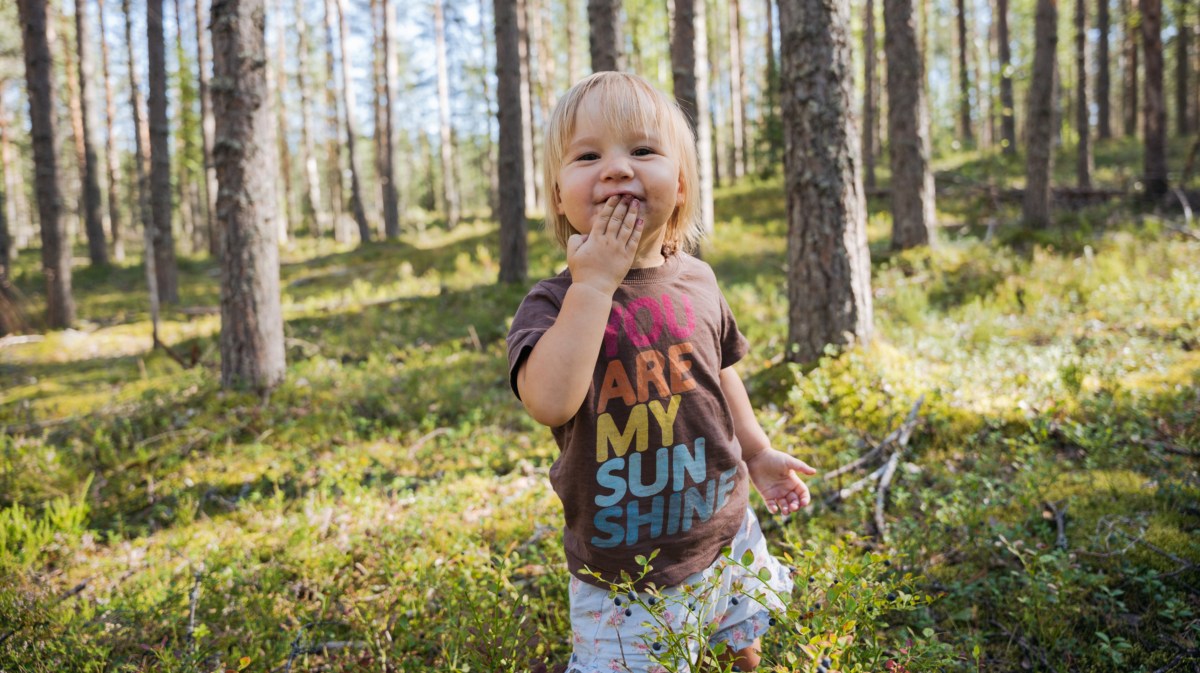 Blondes Baby, das im Wald steht und Beeren pflücken und isst