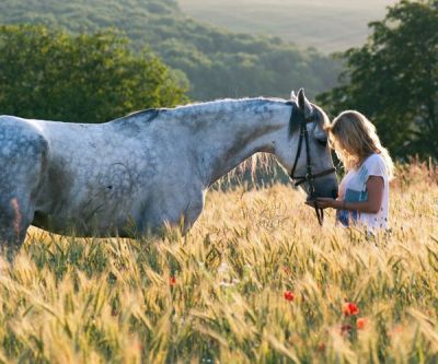 Schwangere Reiterinnen sollten sich von ihrem Arzt beraten lassen.