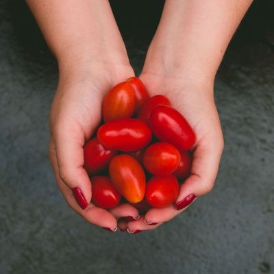 Max-Planck-Di&#xE4;t Ern&#xE4;hrungsplan: Tomaten sind erlaubt