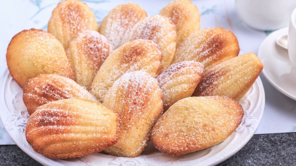 Selbst gemachte Madeleines mit Puderzucker auf einem weißen Teller.