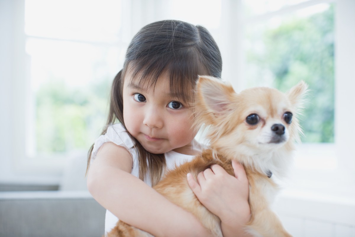 Diese Hunderassen sind die perfekten Begleiter für Familien