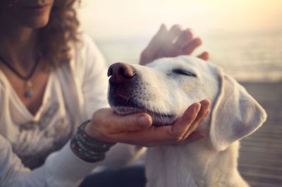 Neurodermitis: Kontakt mit Allergenen vermeiden.