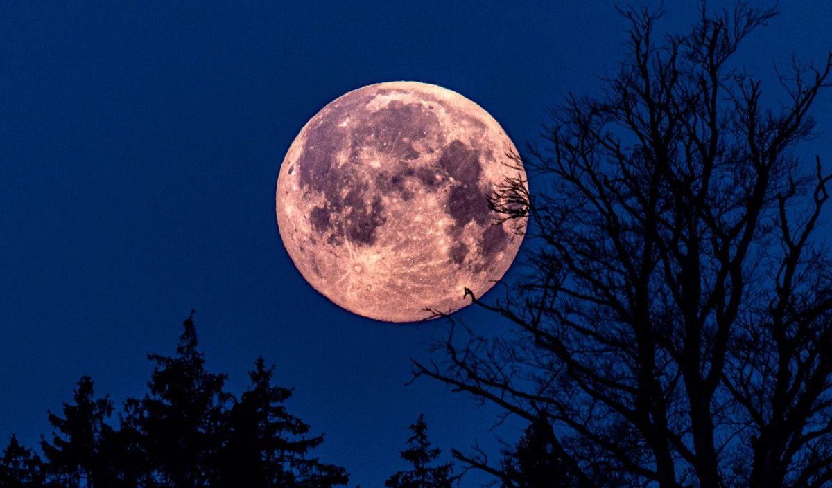 Ein rosa gefärbter Vollmond am dunklen Nachthimmel.