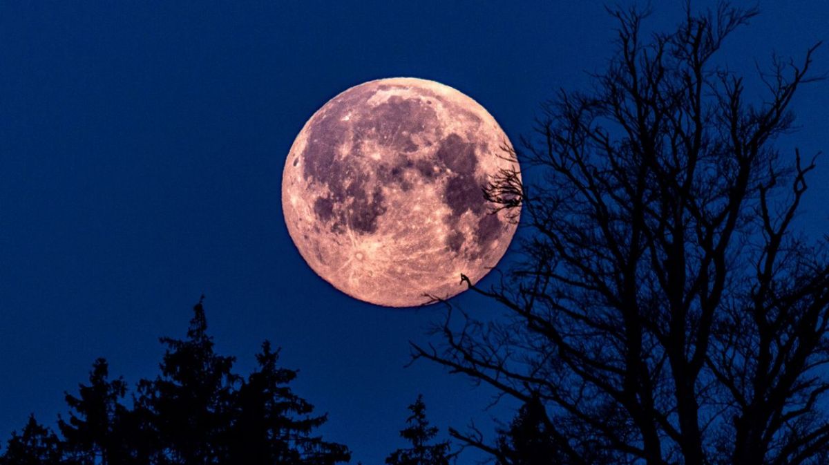 Ein rosa gefärbter Vollmond am dunklen Nachthimmel.