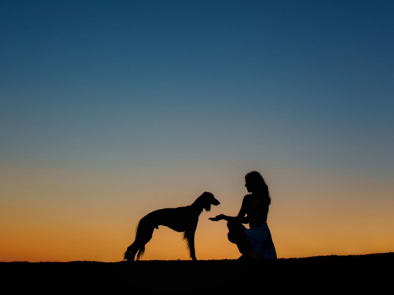 Frau mit einem Hund vor dem Abendhimmel