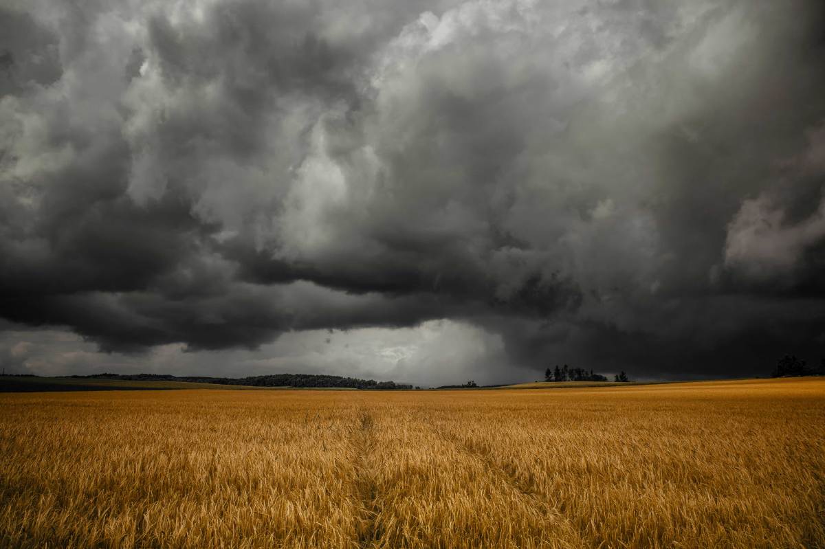 Dunkle Wolken, Unwetter über Feld