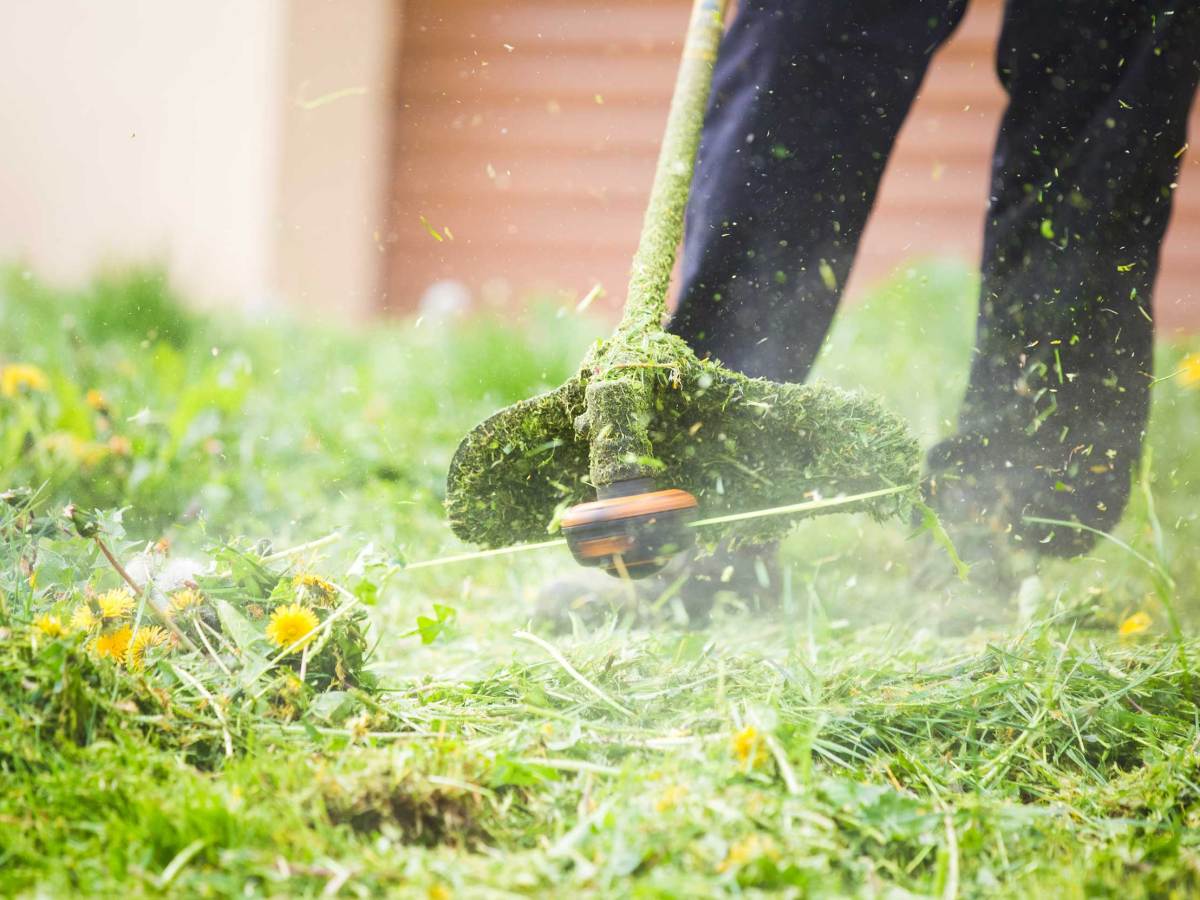 Rasen mähen, Gras schneiden mit einem professionellen Rasentrimmer