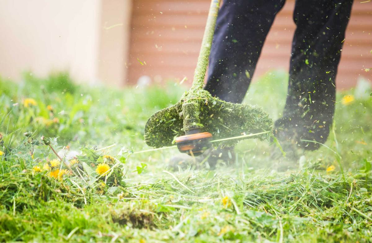 Rasen mähen, Gras schneiden mit einem professionellen Rasentrimmer