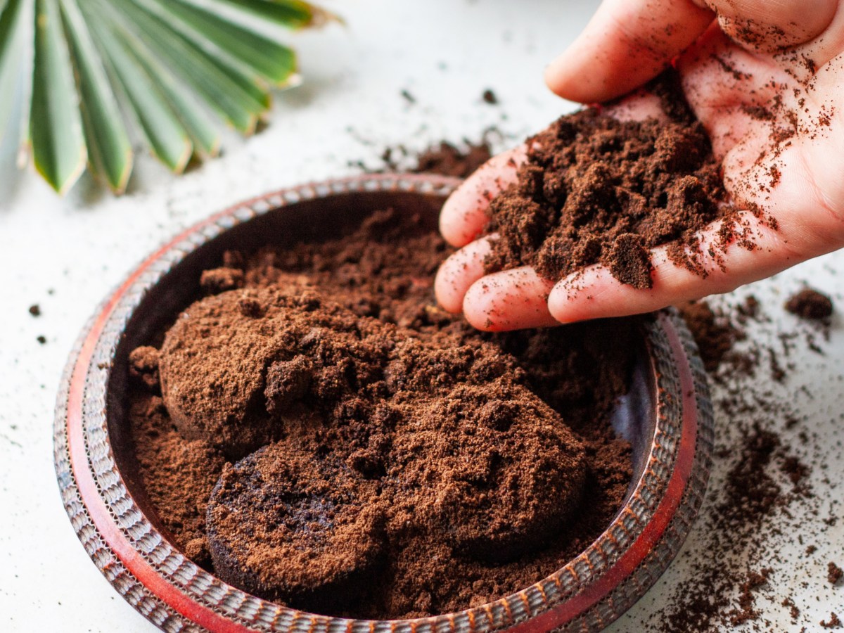 Eine Schale mit altem Kaffeesatz